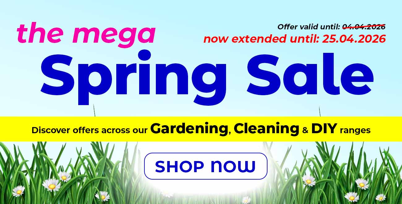 Spring Offers