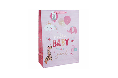 Gift Bags/Boxes/Wrap