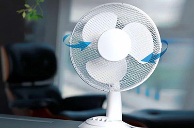 Fans