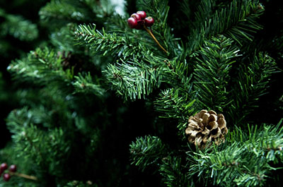 Trees / Wreaths / Flowers