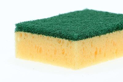 Sponge Scourer