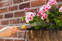 HOZELOCK 3 IN 1 NOZZLE PLUS